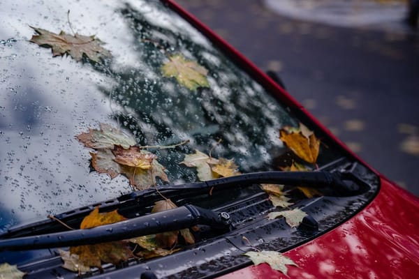 Escobillas que dejan rayas: la pieza que descuidas hasta que llueve de noche